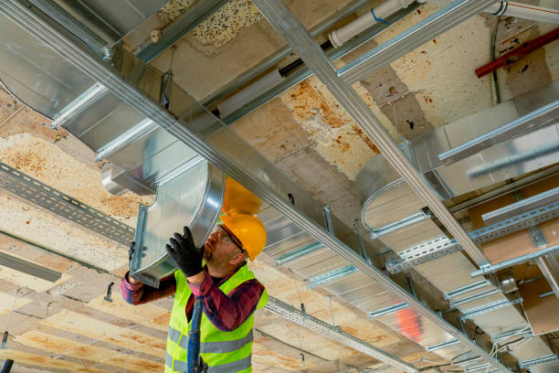 Best HVAC Air Duct Cleaning  in Williamstown, WV